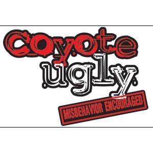 Coyote Ugly | NYNY Hotel & Casino